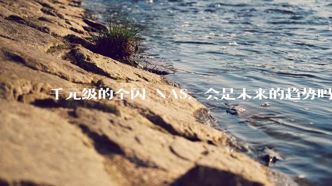 千元级的全闪 NAS，会是未来的趋势吗？