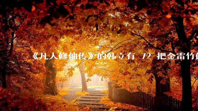 《凡人修仙传》的韩立有 72 把金雷竹做的剑，其他人看见了不觉得奇怪吗？