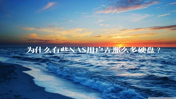 为什么有些NAS用户弄那么多硬盘?